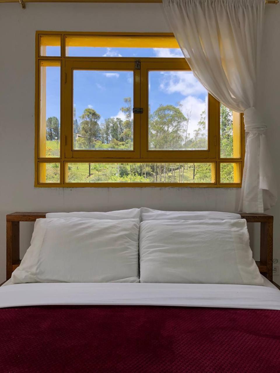 Alegria Hostel Boutique Guatapé Cameră foto